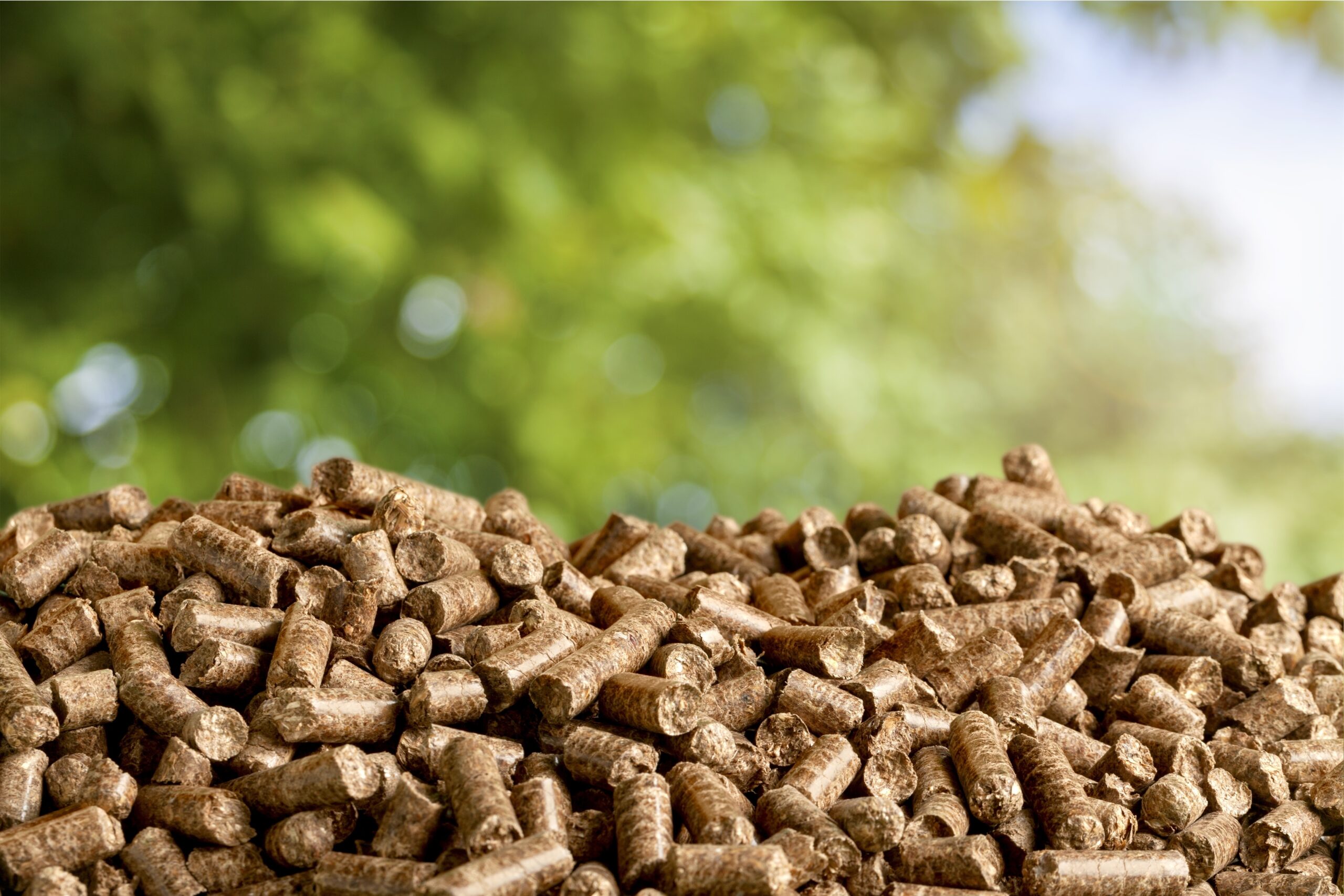 Biofuel/Biomass Auditor