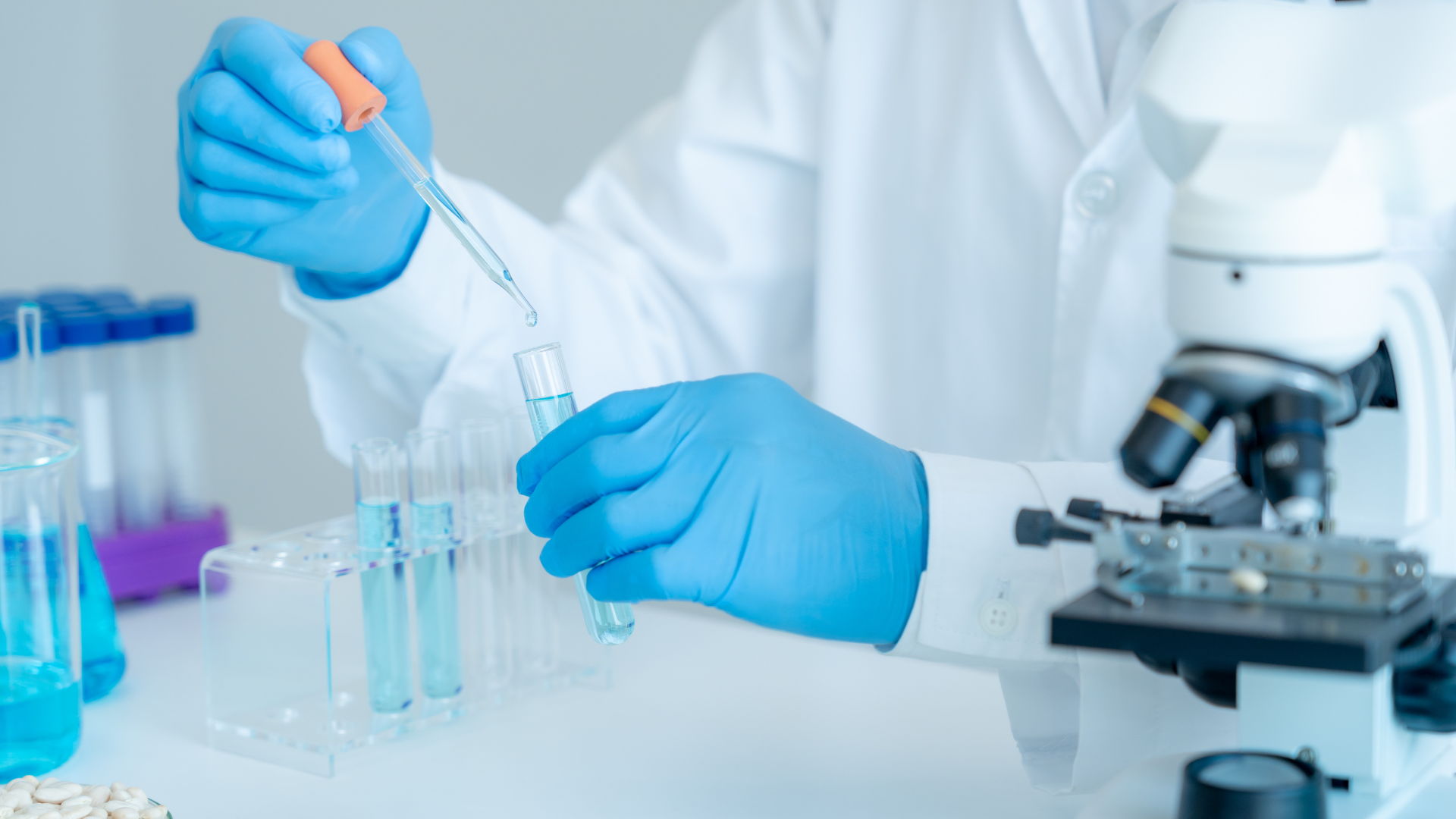 HACCP ISO 22000