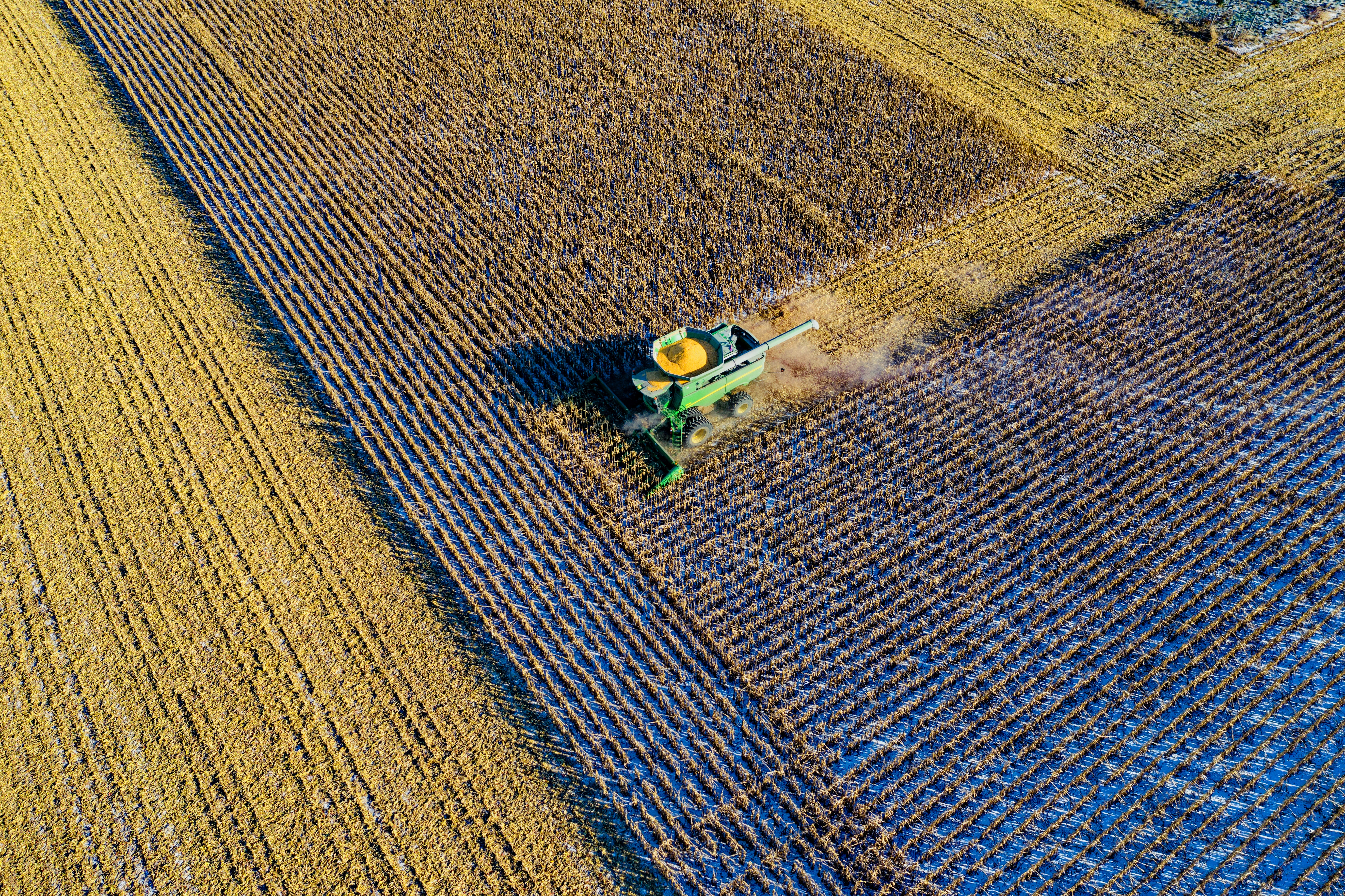 Agriculture03