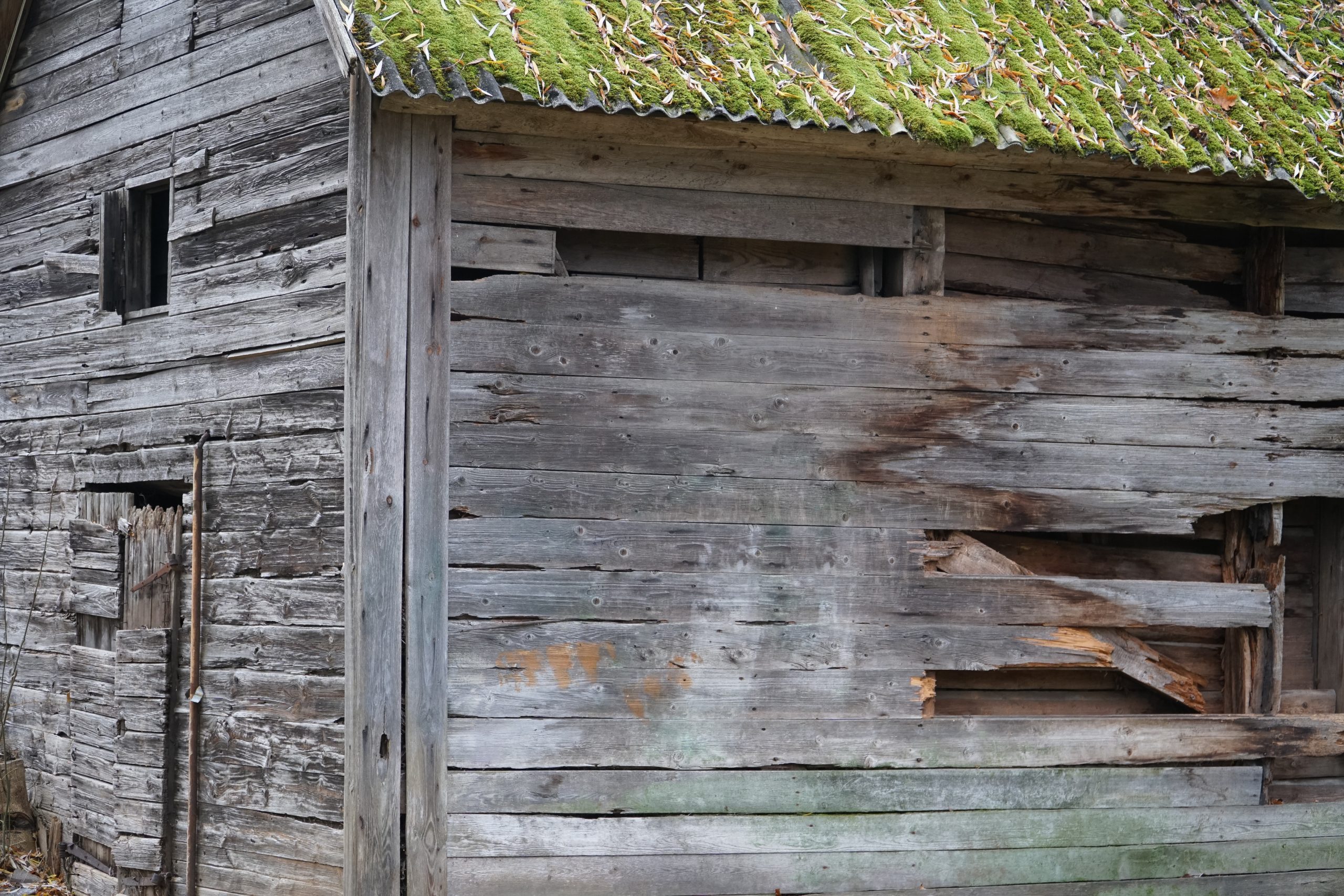 Houtbescherming