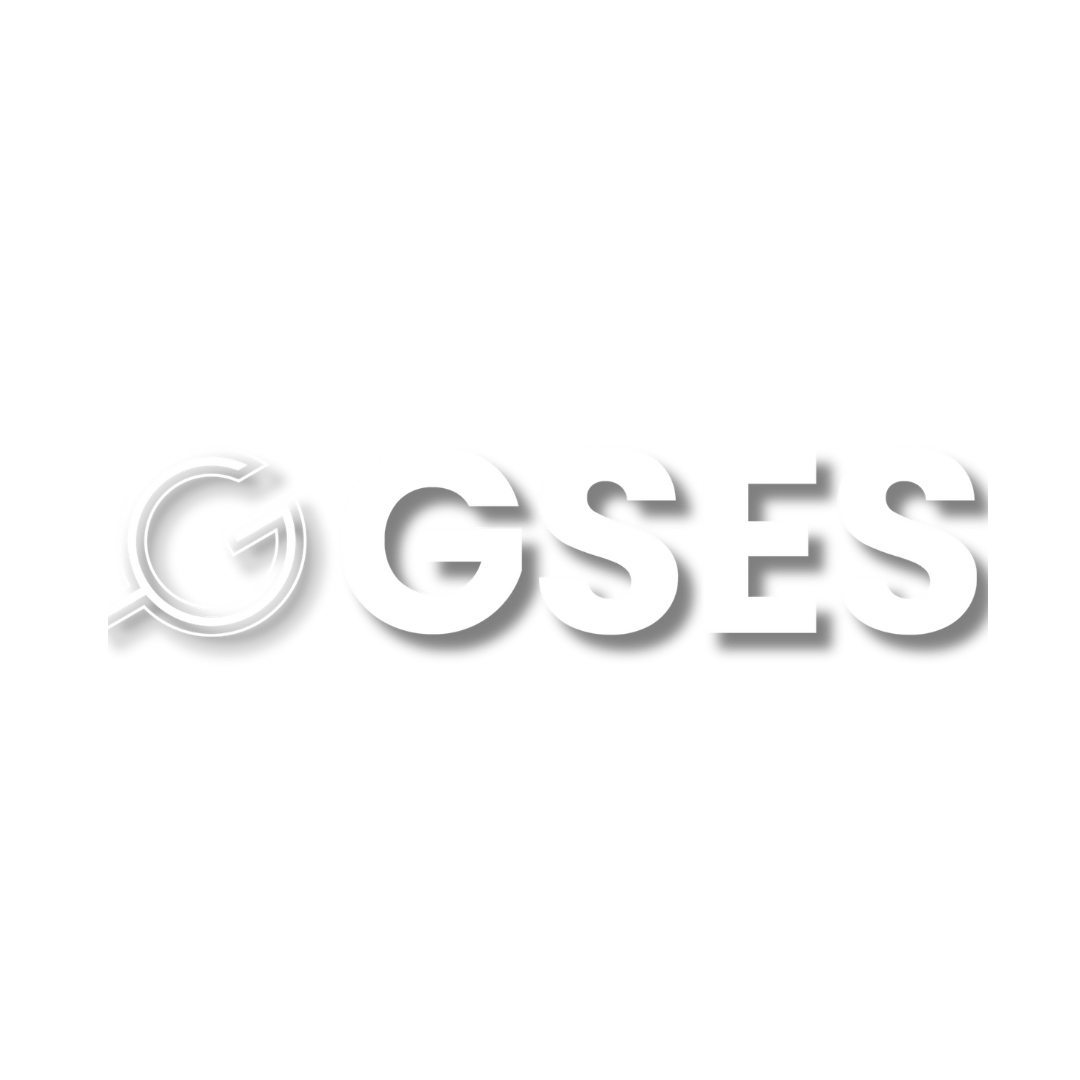 Global Sustainable Enterprise System (GSES)